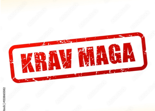 KRAV MAGAのlogo画像